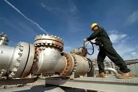 کارکنان، فراموش‌شدگان نجیب